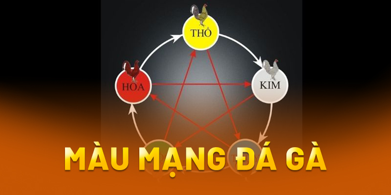 Màu mạng đá gà là sao?